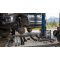 Lift Kit vs Levelking Kit