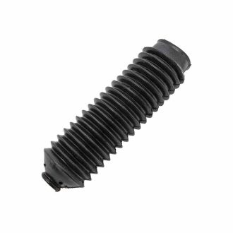 BDS098520